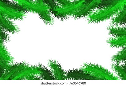 Christmas tree branches background