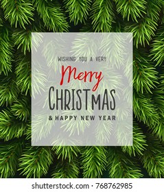 Christmas tree branches background