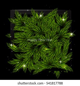 Christmas tree branches background in black frame