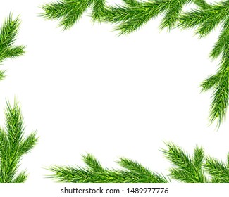 Christmas tree branches background decor