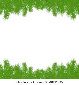 Christmas tree branches background. New Year wallpaper concept. Empty copy space for winter holidays.