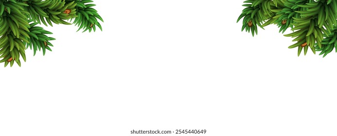 Christmas tree branches border. Christmas and New Year decor. Realistic vector illustration isolated on white background.