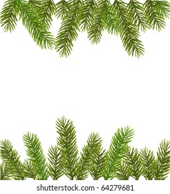 Christmas tree branches border over white