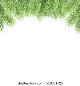 Christmas tree branches design element