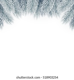 Christmas tree branches design element.. Christmas tree, greeting cards and banners.