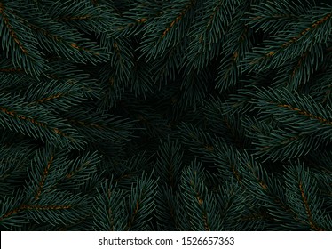 Christmas tree branches. Festive Xmas border of green branch of pine.