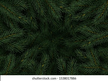 Christmas Tree Branches. Festive Xmas Border Of Green Branch Of Pine.