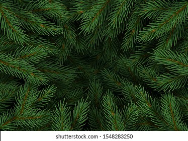 Christmas tree branches. Festive Xmas border of green branch of pine. Pattern pine branches, spruce branch. Realistic design decoration elements. Vector illustration