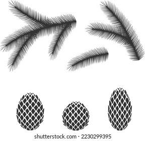 Christmas tree branches. Fir cone. New year season. Winter nature. Vector illustration. Design element.