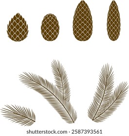 Christmas tree branches. Fir cone. New year season. Winter nature. Vector illustration. Design element.