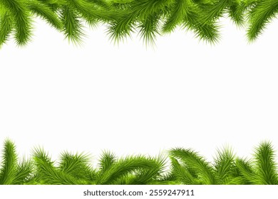 Christmas tree branches frame isolated on white background with copy space. Vector banner