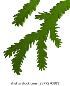 Christmas tree branches isolated. Christmas decorations. Design elements for greeting card or invitation. Vector Illustration in Cartoon Style.