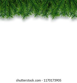 Christmas tree branches isolated on white background. Vector pine tree decoration template. Christmas frame illustration