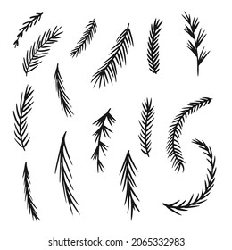 Christmas tree branches isolated on white background. Realistic vector fir tree, pine tree. Easy to create frames, borders, wreaths. For Christmas cards, banners, flyers, party posters.