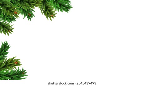 Christmas tree branches isolated on white background. Border template for Christmas card