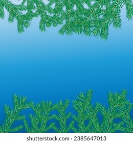 Christmas tree branches on blue background