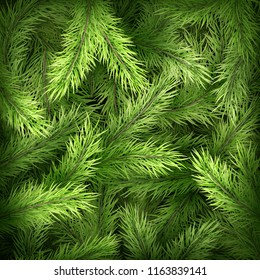 Christmas tree branches on dark green background. EPS 10
