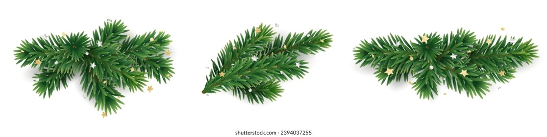 Christmas tree branches on transparent background, vector illustration. Holiday fir tree divider decoration. Winter season borders, realistic spruce twigs with golden confetti. 