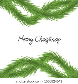 Christmas Tree Branches on White Background