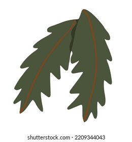 Christmas tree branches, Christmas tree on white background. Vector illustration