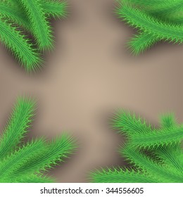 Christmas tree branches over beige background modern festive frame layout. Vector Illustration