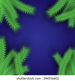 Christmas tree branches over blue background modern festive frame layout. Vector Illustration