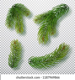 Christmas tree branches set for a Christmas decor. Branches close-up. Collection of Fir Branches. Realistic vector illustration isolated on background.