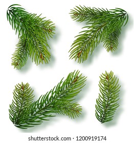 Christmas tree branches set for a Christmas decor. Branches close-up. Collection of Fir Branches. Realistic vector illustration isolated on white background.