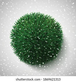 Christmas tree branches in a shape of a ball, realistic New Year decoration, vector illustration