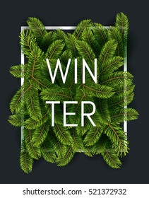 Christmas tree branches with slogan and white thin frame. Lettering WINTER New year background perfect for inventation, winter poster or leafet.  Vector illustration. EPS 10