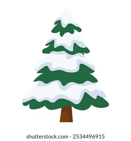 Ramas del árbol de Navidad en la nieve sobre un fondo blanco