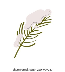 Christmas Tree Branches with snow. Vector Christmas Elements. Set of Christmas Tree Branches.