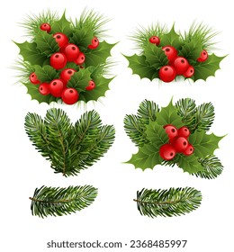 Christmas tree branches, twigs, berries, ilex for xmas and new year winter design, vector 