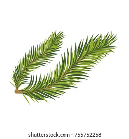 Christmas tree brunches card with space for your text. Watercolor vector illustration.