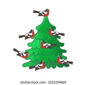 Christmas tree   bullfinches  birds sit tree  color drawing  transparent background  for design   printing
