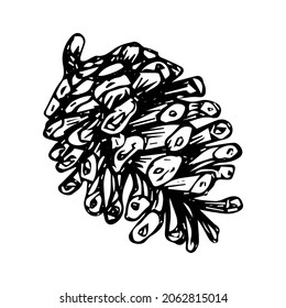 Christmas tree cone, sketch, black outline isolated on white background, stock illustration for design and decor