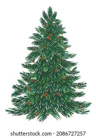 Christmas tree with cones. Isolate on a white background. Vector illustration.