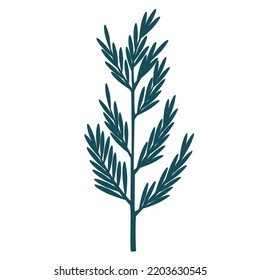 Christmas tree. Decor for New Year Christmas and holiday. Usable for banners, greeting cards, gifts and decoration etc. Hand drawn illustration isolated on the white background. 