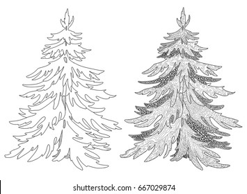 Christmas tree, decorative fir line contour and doodle ornament for coloring book.