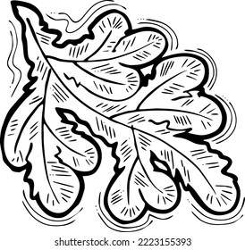 Christmas tree decorative vector element, empty natural without decoration. Hand drawn illustration Xmas template for postcard design, party invitation. New Year eve symbol, cartoon style line drawing