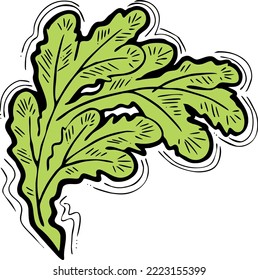 Christmas tree decorative vector element, empty natural without decoration. Hand drawn illustration Xmas template for postcard design, party invitation. New Year eve symbol, cartoon style line drawing