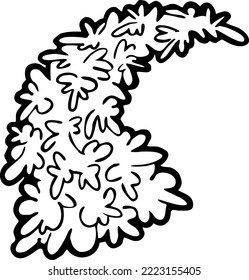 Christmas tree decorative vector element, empty natural without decoration. Hand drawn illustration Xmas template for postcard design, party invitation. New Year eve symbol, cartoon style line drawing