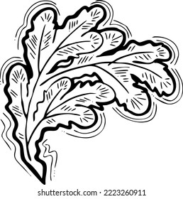 Christmas tree decorative vector element, empty natural without decoration. Hand drawn illustration Xmas template for postcard design, party invitation. New Year eve symbol, cartoon style line drawing