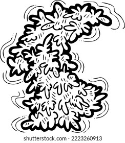 Elemento vectorial decorativo de árbol de Navidad, natural vacío sin decoración. Ilustración dibujada a mano Plantilla de Navidad para diseño de postales, invitación de fiesta. Símbolo de víspera de Año Nuevo, dibujo de línea de estilo de caricatura