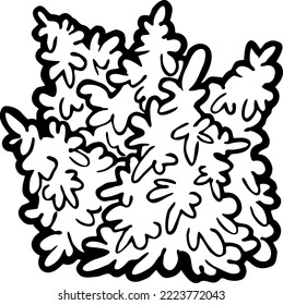 Christmas tree decorative vector element, empty natural without decoration. Hand drawn illustration Xmas template for postcard design, party invitation. New Year eve symbol, cartoon style line drawing