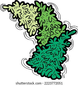 Elemento vectorial decorativo de árbol de Navidad, natural vacío sin decoración. Ilustración dibujada a mano Plantilla de Navidad para diseño de postales, invitación de fiesta. Símbolo de víspera de Año Nuevo, dibujo de línea de estilo de caricatura