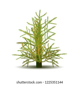 Christmas tree for design, on a white background, vector