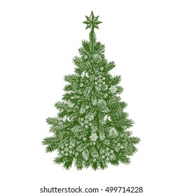 Christmas tree  detailed