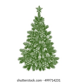 Christmas tree, detailed vintage vector illustration