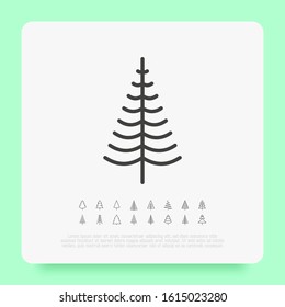 Christmas tree in different shapes. Minimalistic simple thin line icons. Vector illustration for greeting card, Christmas and New Year decoration.